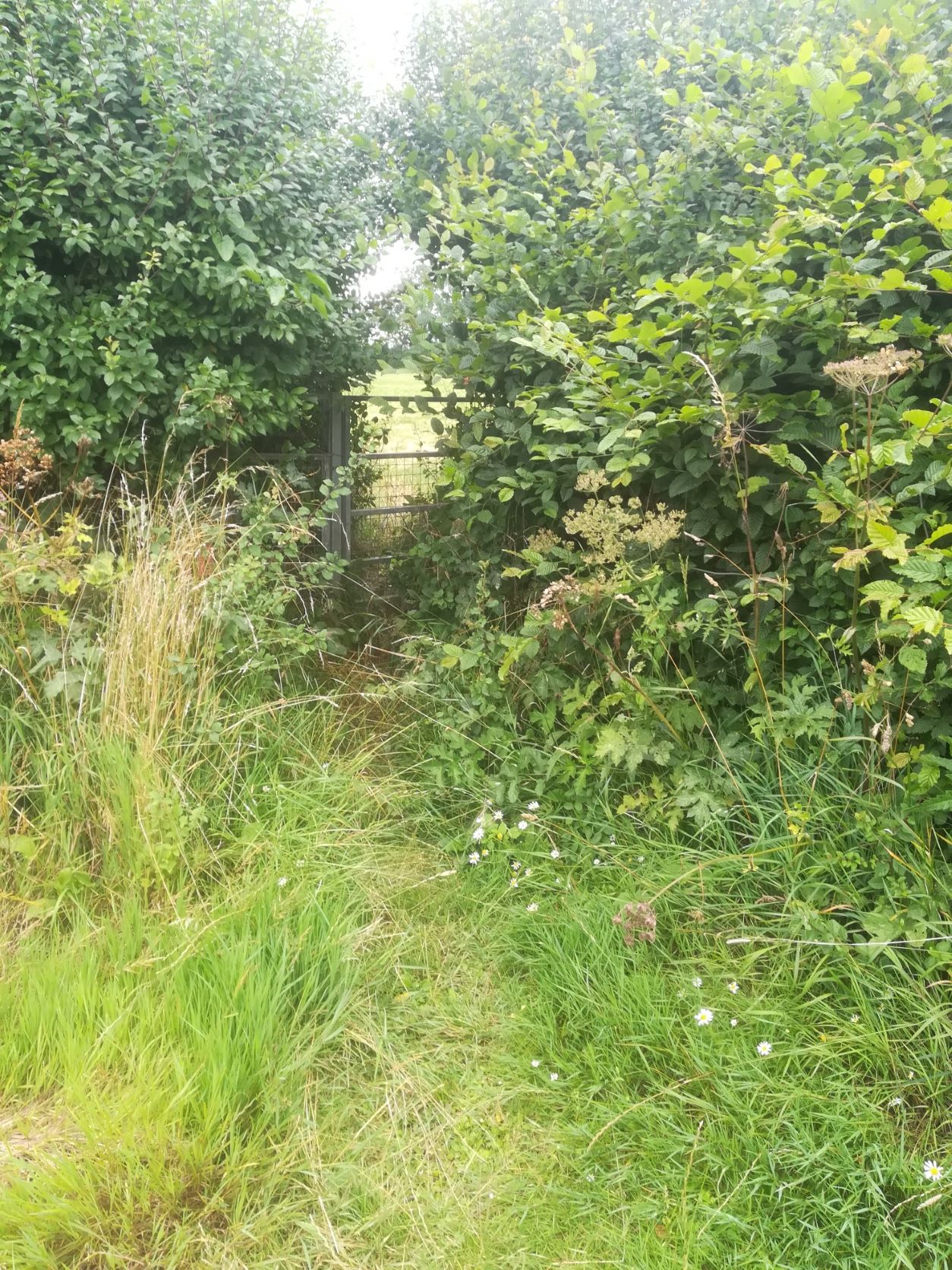 PathGate